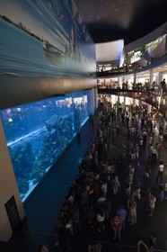 21 11 2010 - Dubai (UAE) - Dubai - The Mall