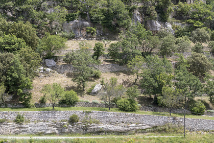 10 06 2018, Sivergues (FRA,84)