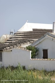 01 07 2008 - Les Saintes Maries de la mer (FRA, 13) - Cabanes de gardians