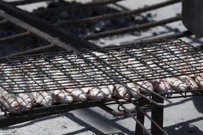 10 11 2014, Capetown (ZAF), Volvo Ocean Race 2014-15, Team Alvimedica