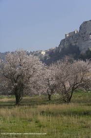 16 02 2008 - Les Baux de Provence (FRA, 13) - Alpilles hills landscapes