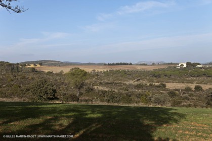 Saint Drézéry (FRA, 34), Domaine de Puech Haut