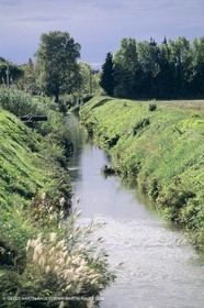 Nimes Metropole landscapes (FRA,30)