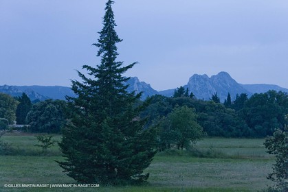 June 24th 2008 - Saint Rémy de Provence (FRA,13) - Alpilles hills landscapes