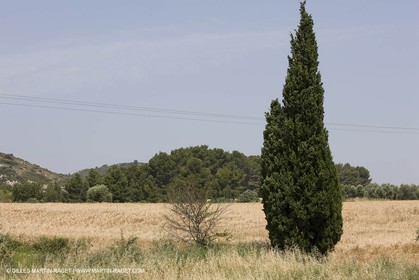 June 24th 2008 - Saint Rémy de Provence (FRA,13) - Alpilles hills landscapes