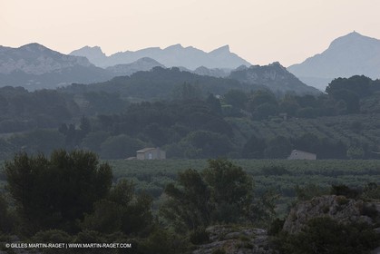 June 24th 2008 - Mouriès (FRA,13) - Alpilles hills landscapes - Le Destet area