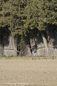 22 02 2008 - Saint Rémy de Provence (FRA, 13) - Alpilles hills landscapes