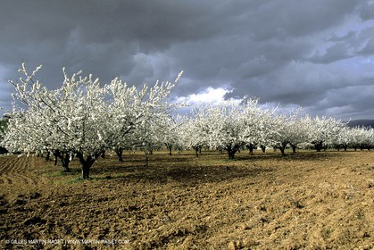 France, Provence, Paysages du Luberon, Luberon Landscapes