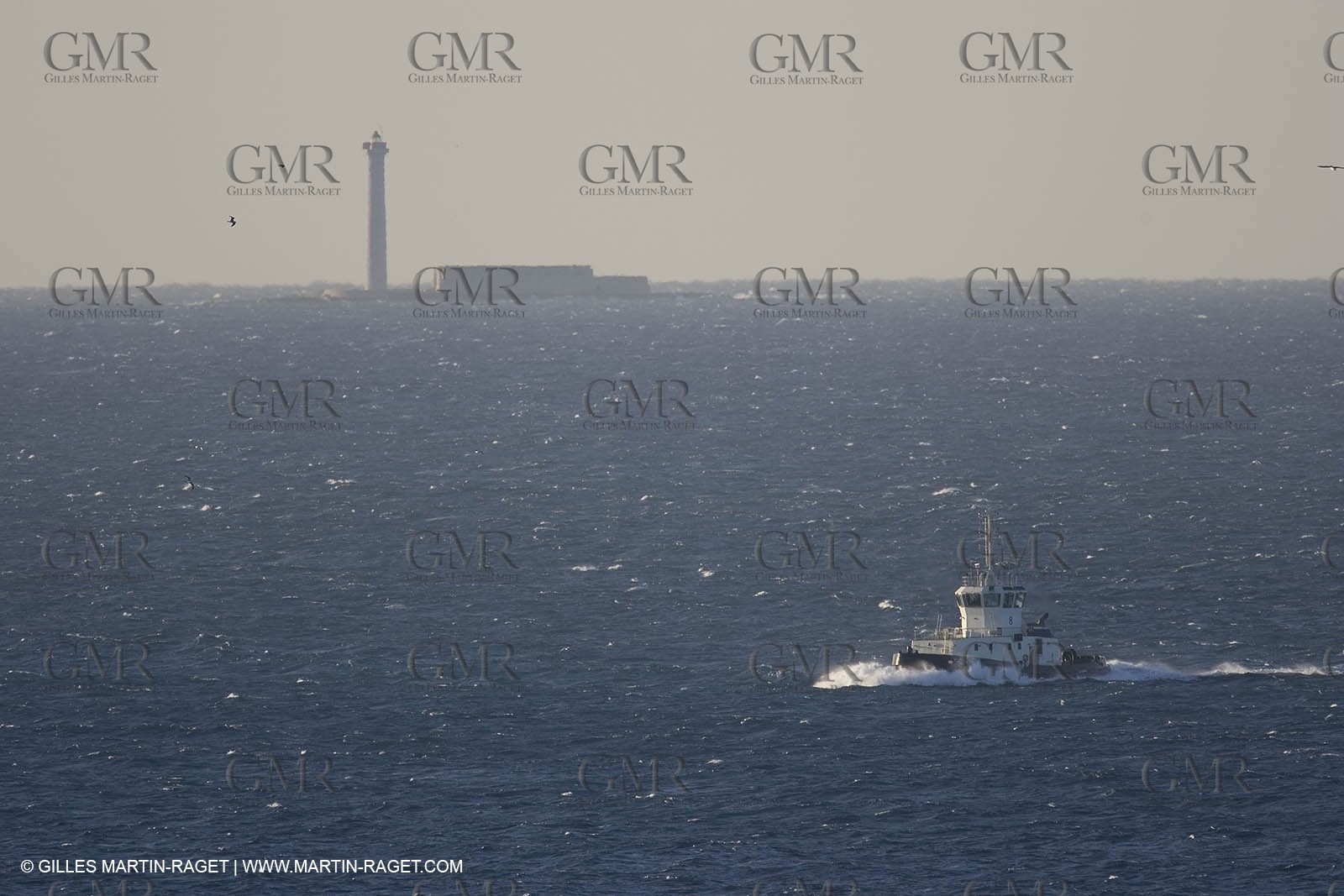 02 01 2007 - Sausset les Pins (13) - Mistral waves