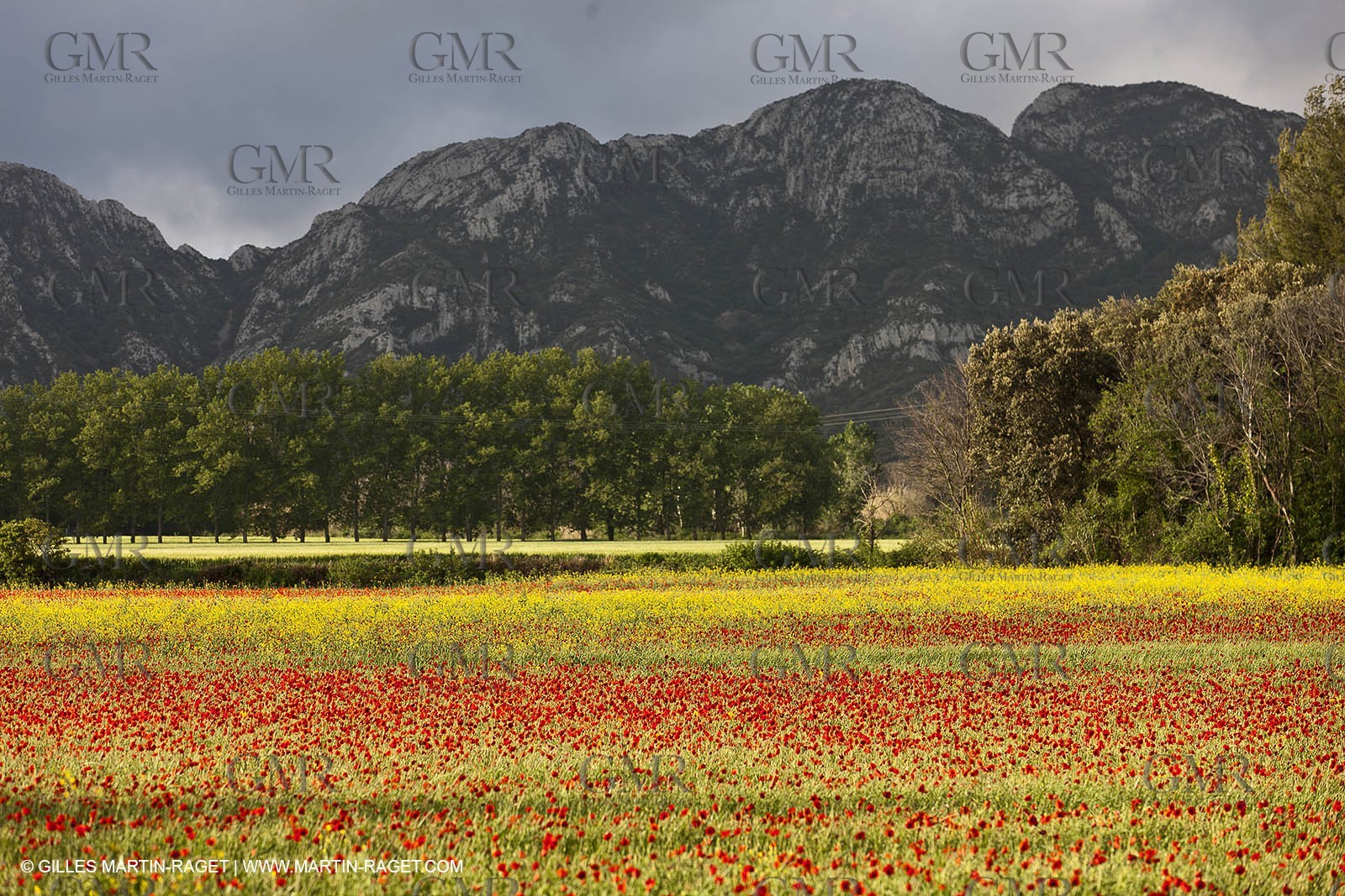 29 04 2012 ( Saint Rémy de Provence (FRA, 13) - Chaîne des Alpilles vers Romanin
