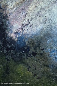 Salt-water marsh
