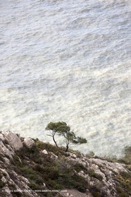 16 04 2009 - Marseille (FRA, 13) - Les Calanques - Cortiou rejections after after stormy weather over Marseilles