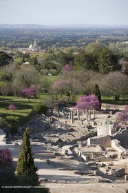 12 04 2008 - Saint Rémy de Provence - (FRA, 13) - Vincent Van Gogh south - Glanum roman ruin
