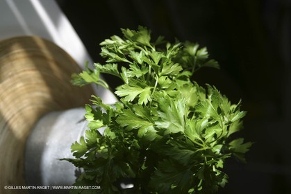 Cooking herbes from Provence - Garlic and Parsley