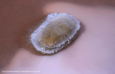 Marais salants