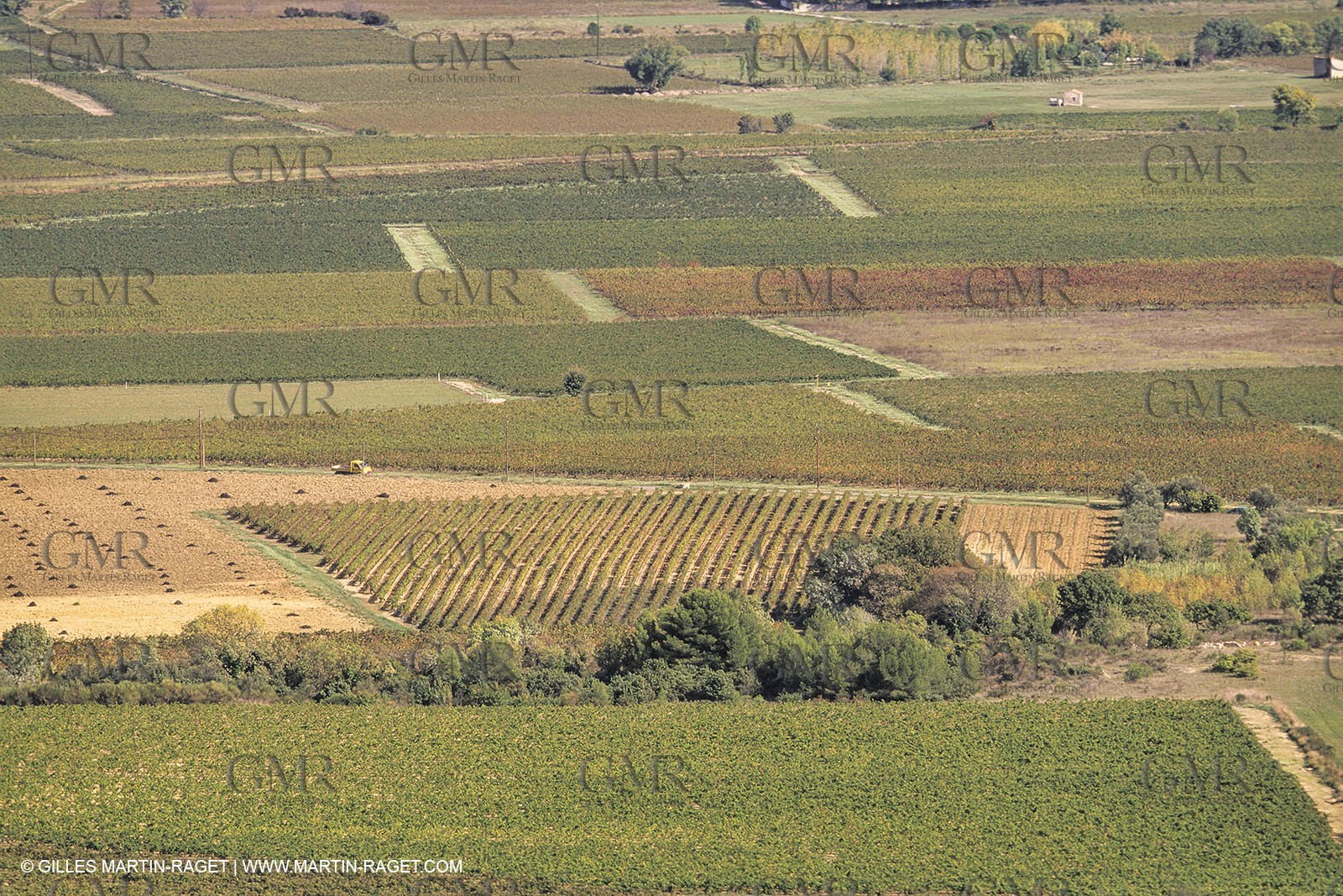 France, Languedoc Roussillon, Costières de Nîmes