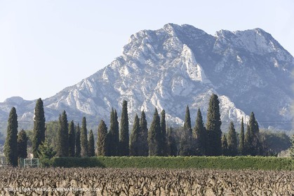 09 02 2008 - Les Baux de Provence (FRA, 13) - Alpilles hills landscapes