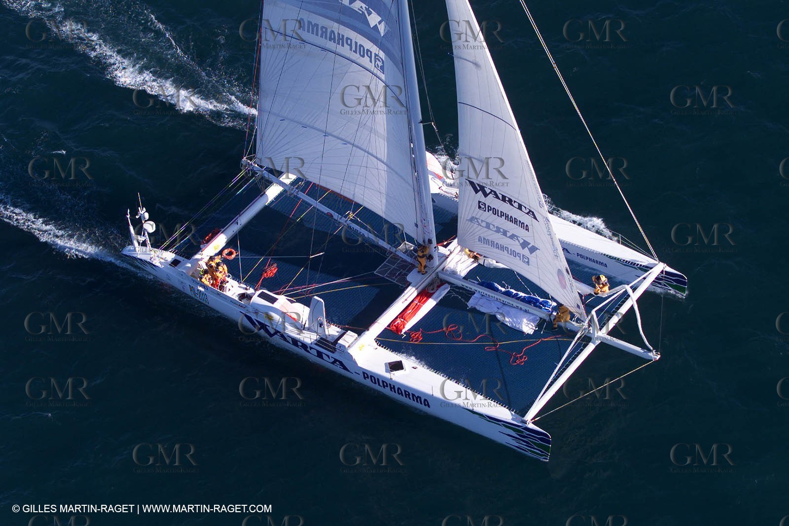 The Race - Warta Polpharma