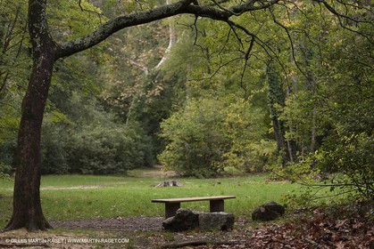 23 10 2012 - Gemenos (FRA) - Parc Départemental de la vallée de Saint Pons