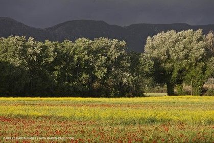 29 04 2012 ( Saint Rémy de Provence (FRA, 13) - Chaîne des Alpilles vers Romanin