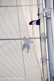 Sailing, cruising, people
