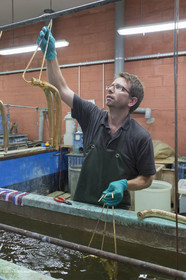 21 06 2018, Gargas (FRA, 84), Lustrerie Régis Mathieu