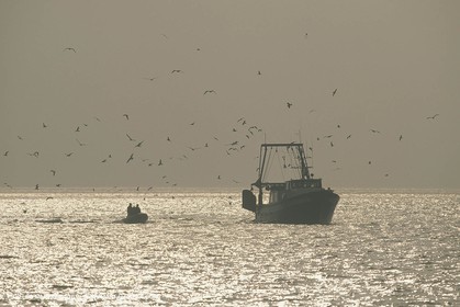 Pêche, barques, pointus, pêcheurs