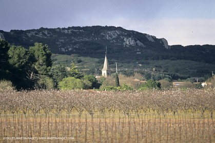 Nimes Metropole landscapes (FRA,30)