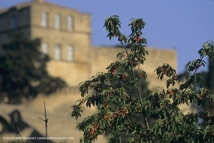 France, Provence, Pays d'Aix en Provence, Ansouis
