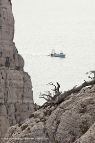 20 03 2009 - Marseille (FRA, 13) - Les Calanques - Falaise de Castelviel