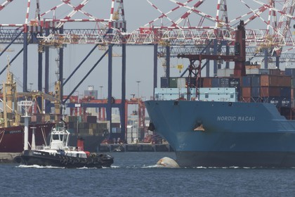 12 11 2014, Capetown (ZAF), Volvo Ocean Race 2014-15, Team Alvimedica goes back training