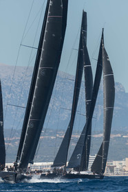 Palm17D3_1578.jpg