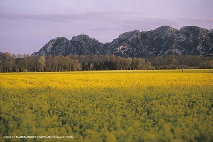 France, south, Alpilles landscapes