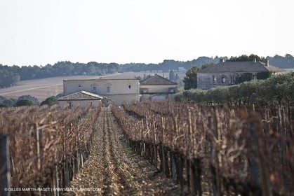 Saint Drézéry (FRA, 34), Domaine de Puech Haut