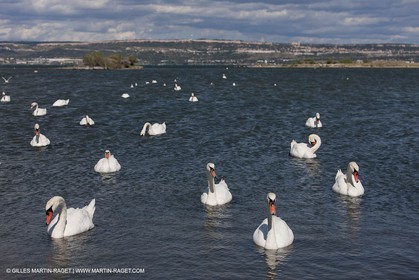 13 06 2012 - Berre l'Etang (FRA,13)