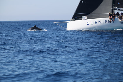 GMR_JurisCup25_3352.jpg