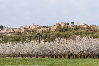 12 04 2016, Luberon National Park, Ménerbes