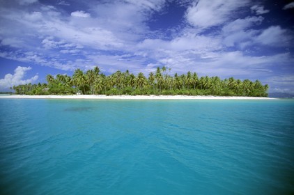 Polynesia