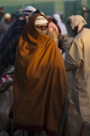 20 11 2010 - Dubai (UAE) - Camel races