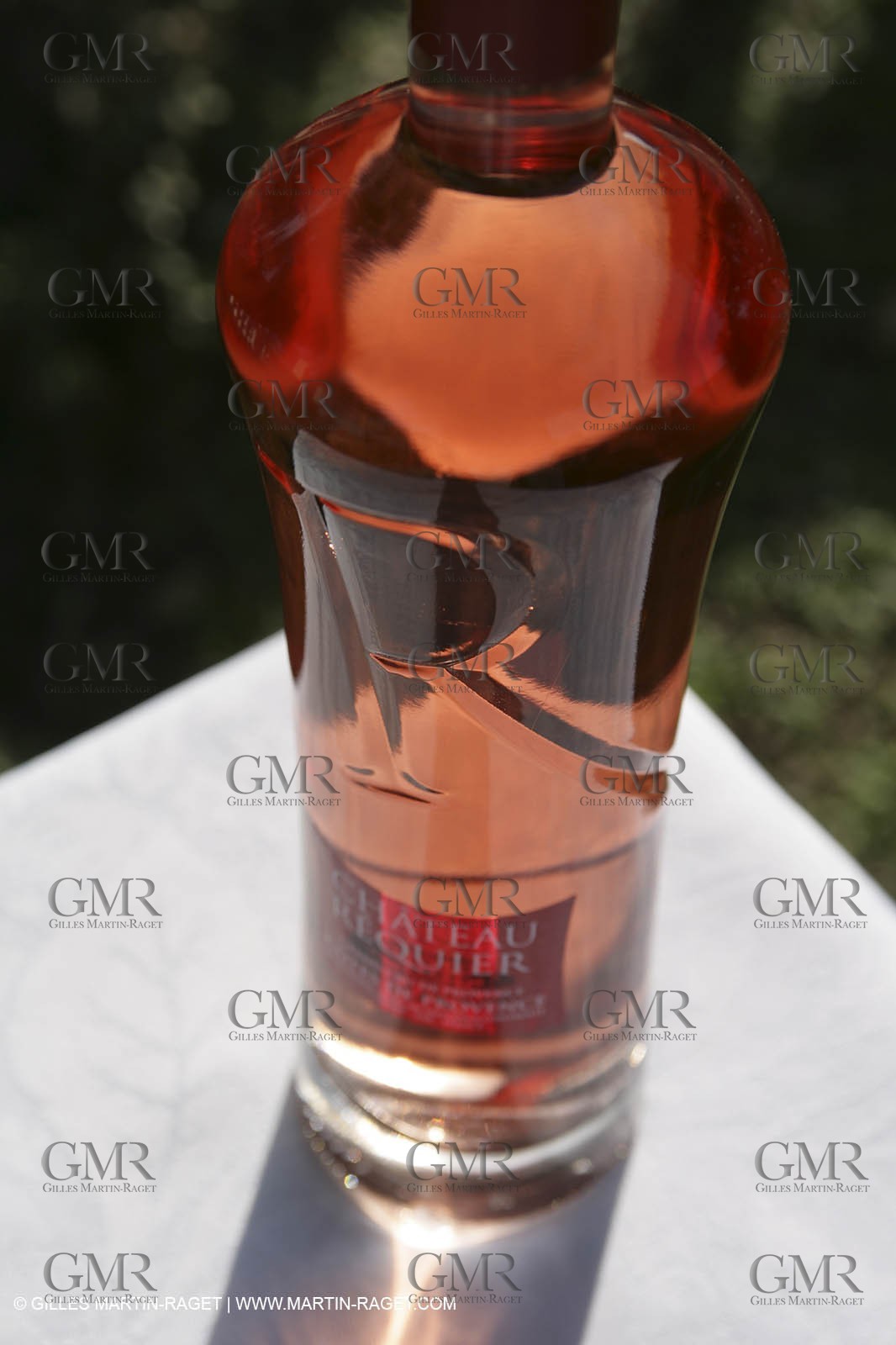 28 02 2008 - Cabasse (FRA, 83) - Domaine du Lac vines