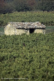 Luberon (FRA,84), Fall colors