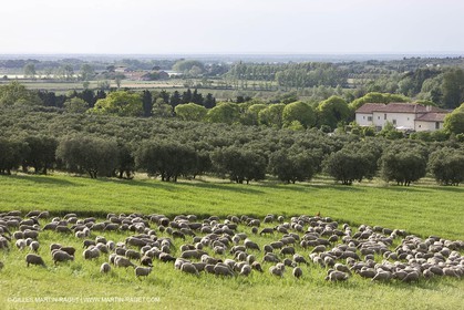 04 05 2008 - Arles (FRA,13)