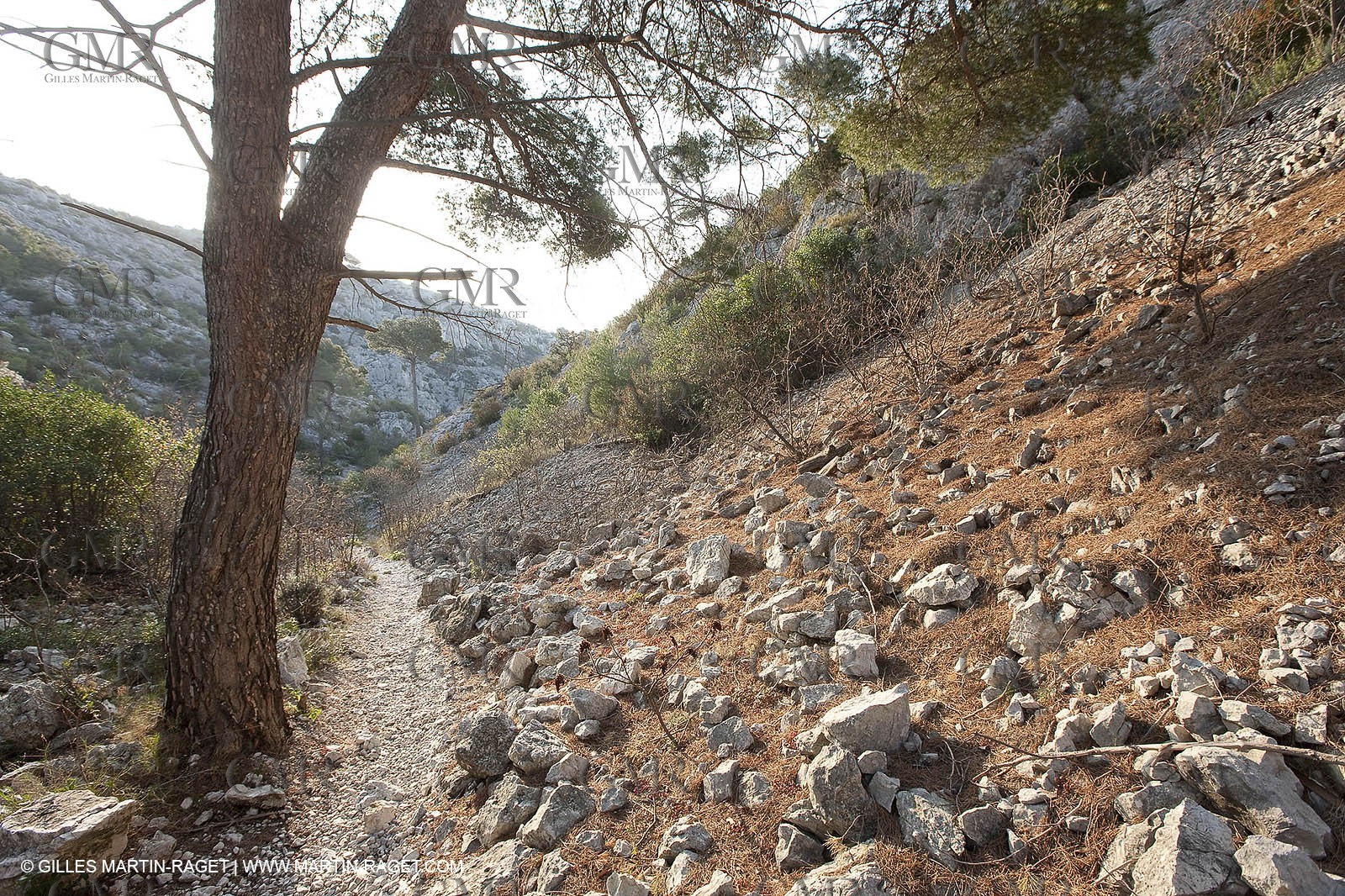 20 03 2009 - Marseille (FRA, 13) - Les Calanques - Vallon de l'oule