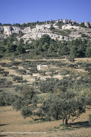 France, Provence, Les Alpilles, Les Baux de Provence