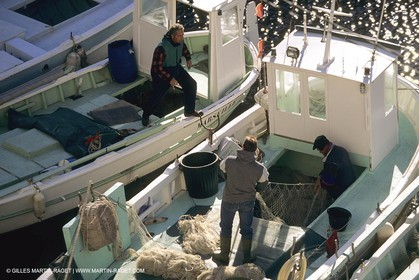 Pêche, barques, pointus, pêcheurs