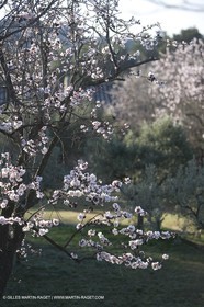 09 02 2008 - Les Baux de Provence (FRA, 13) - Alpilles hills landscapes