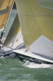 Courses à la voile, Coupe de l'America 2000, America's Cup 2000, Auckland (NZL)