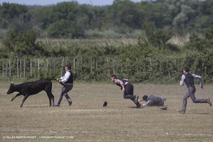 Course de Satin 2014 - Arles (FRA,13) - 1 06 2014**The satin race - Arles (FRA,13) - 01 06 2014