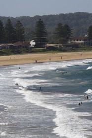 11 12 2006 - Australie - New South Wales - Central coast - Gosford & environs