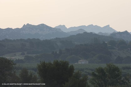 June 24th 2008 - Mouriès (FRA,13) - Alpilles hills landscapes - Le Destet area